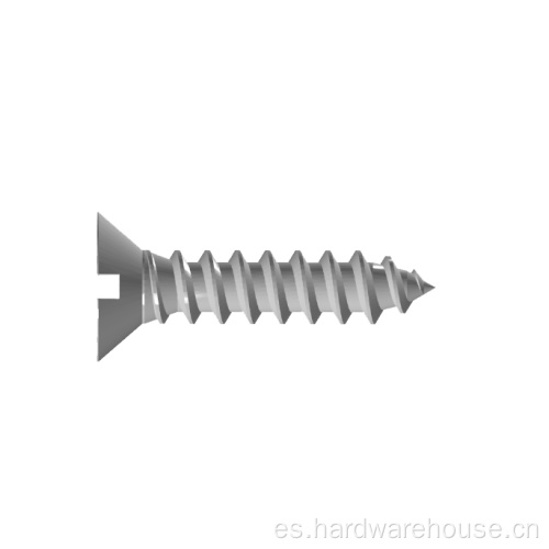 Head Flat Self -Tapping 304 Redonda de acero inoxidable